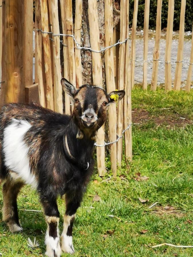 Heeser Hof - Urlaub Im Gruenen Weeze Buitenkant foto