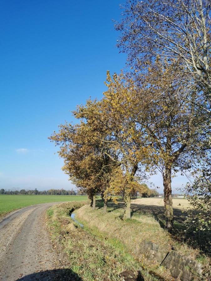 Heeser Hof - Urlaub Im Gruenen Weeze Buitenkant foto
